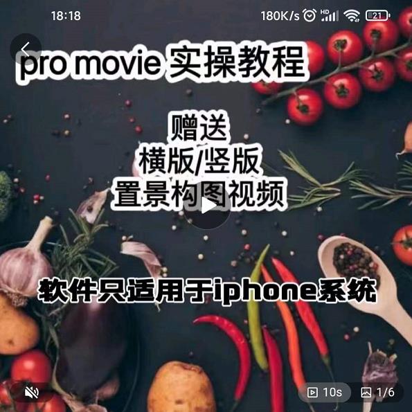漆十二美食摄影，25​节promovie实操高手课节-副业宝典