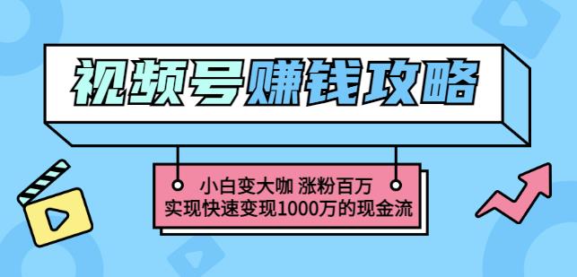 玩转微信视频号赚钱：小白变大咖涨粉百万实现快速变现1000万的现金流-副业宝典