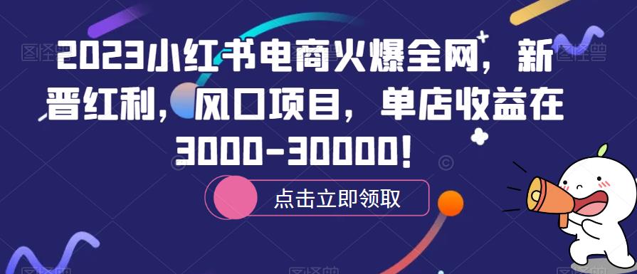 2023小红书电商火爆全网，新晋红利，风口项目，单店收益在3000-30000！-副业宝典
