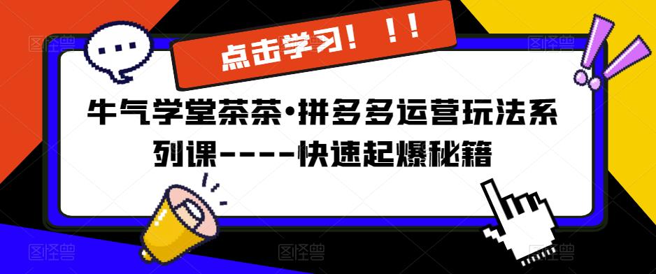 牛气学堂茶茶•拼多多运营玩法系列课—-快速起爆秘籍【更新】-副业宝典