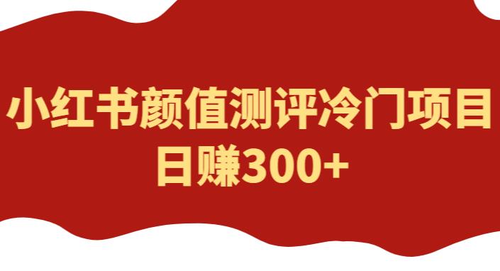 外面1980的项目，小红书颜值测评冷门项目，日赚300+【揭秘】-副业宝典