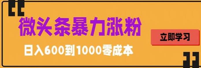 微头条暴力涨粉技巧搬运文案就能涨几万粉丝，简单0成本，日赚600【揭秘】-副业宝典