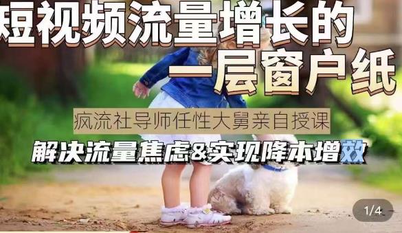 任性大舅·宠物行业短视频运营课(不讲废话)，短视频流量增长的一层窗户纸，解决流量焦虑&实现降本增效-副业宝典