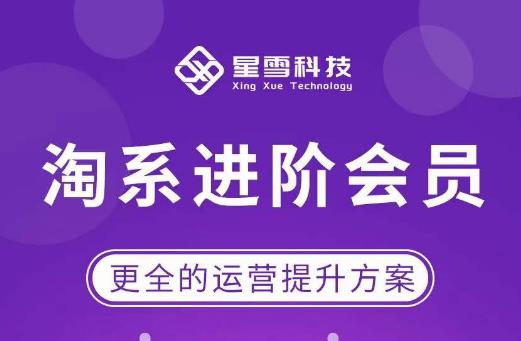 星雪·淘系进阶课程，快速提升突破技能流量瓶颈必备（更新2023年5月）-副业宝典