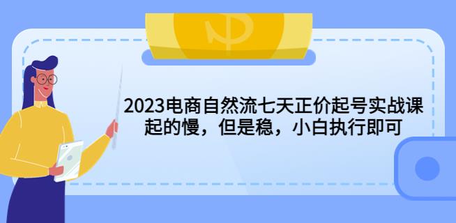 2023电商自然流七天正价起号实战课：起的慢，但是稳，小白执行即可！-副业宝典