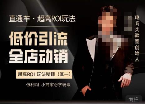 电商冰可乐·直通车·《低价引流·全店动销》，直通车·超高ROI玩法（其一）全店动销必学玩法-副业宝典