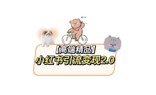 小红书最新引流变现教程，全网最新最详细的视频教程以及素材-副业宝典