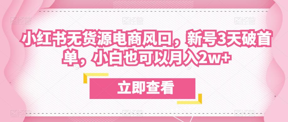 众狼电商余文小红书无货源电商风口，新号3天破首单，小白也可以月入2w+-副业宝典