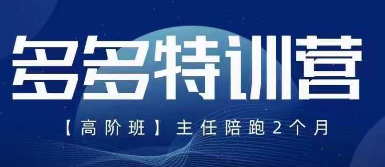 纪主任·5月最新多多特训营高阶班，玩法落地实操，多多全掌握-副业宝典