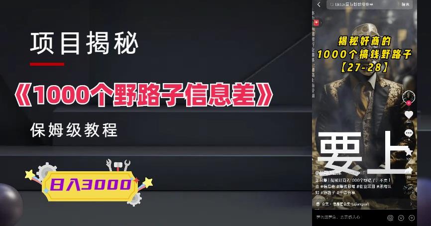 1000个野路子信息差保姆式教程-单日变现3000+的玩法解密-副业宝典