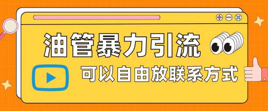 油管暴力引流，可以自由放联系方式【揭秘】-副业宝典