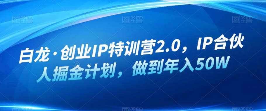 白龙·创业IP特训营2.0，IP合伙人掘金计划，做到年入50W-副业宝典