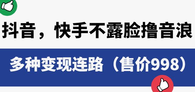 抖音快手不露脸撸音浪项目，多种变现连路（售价998）-副业宝典