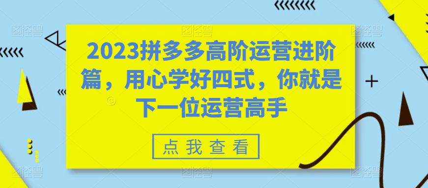 2023拼多多高阶运营进阶篇，用心学好四式，你就是下一位运营高手-副业宝典