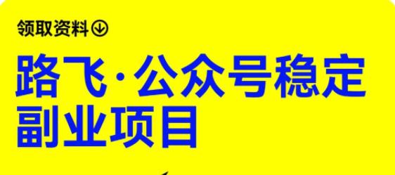 路飞·公众号稳定副业项目，你只要无脑去推广，粉丝和收入，自然就来了-副业宝典
