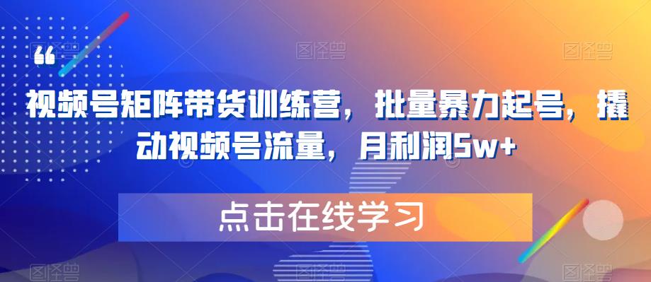 视频号矩阵带货训练营，批量暴力起号，撬动视频号流量，月利润5w+-副业宝典