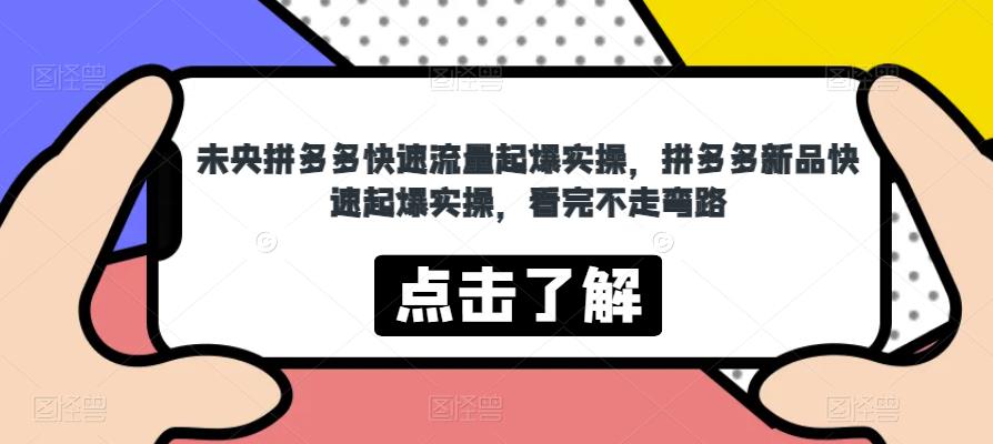 未央拼多多快速流量起爆实操，拼多多新品快速起爆实操，看完不走弯路-副业宝典