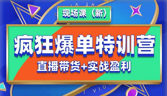 抖音短视频疯狂爆单特训营现场课（新）直播带货+实战案例-副业宝典