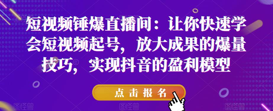 短视频锤爆直播间：让你快速学会短视频起号，放大成果的爆量技巧，实现抖音的盈利模型-副业宝典