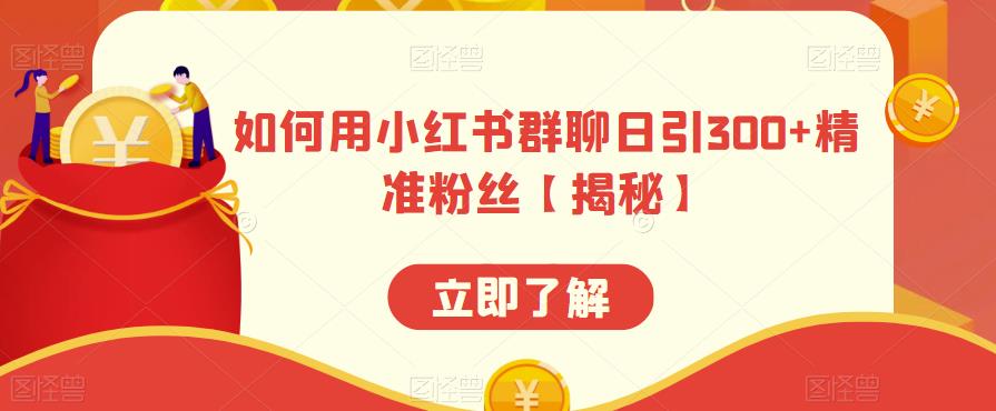 如何用小红书群聊日引300+精准粉丝【揭秘】-副业宝典