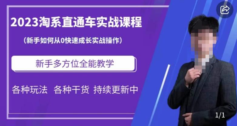 2023淘系直通车保姆式运营讲解，新手如何从0快速成长实战操作，新手多方位全能教学-副业宝典