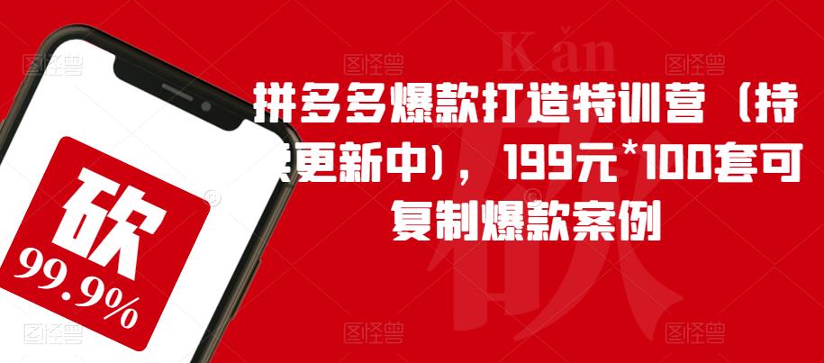 拼多多爆款打造特训营（持续更新中)，199元*100套可复制爆款案例-副业宝典