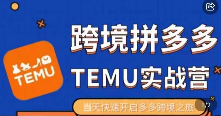 大鹏出海·拼多多跨境temu运营指导，开店注册+选品+核价上架，日出千单实战课-副业宝典