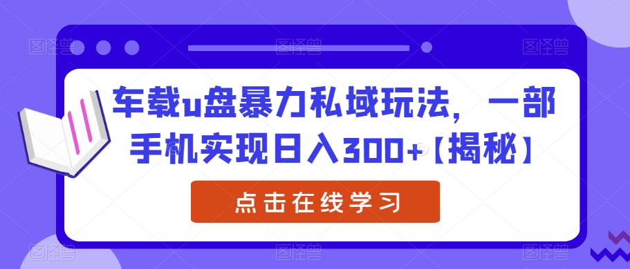 车载u盘暴力私域玩法，一部手机实现日入300+【揭秘】-副业宝典