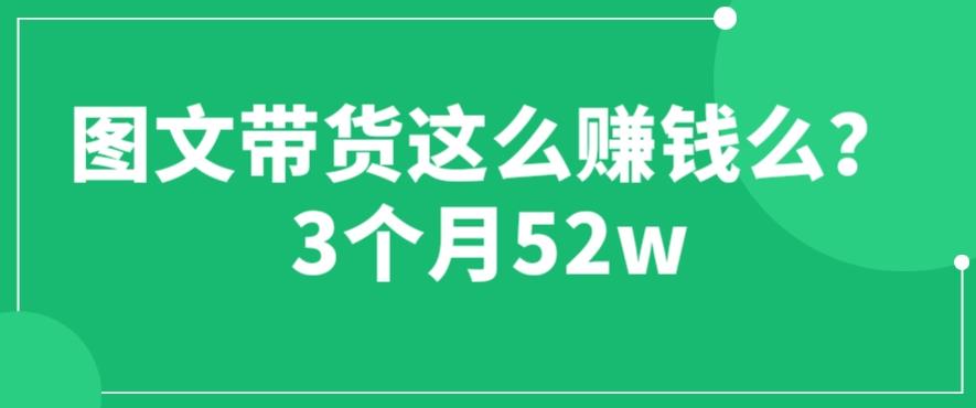 图文带货这么赚钱么? 3个月52W 图文带货运营加强课【揭秘】-副业宝典