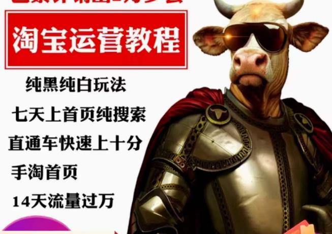 猫老师·淘系算法逆向解密，​纯黑纯白玩法，七天上首页纯搜索，手淘首页14天流量过万-副业宝典