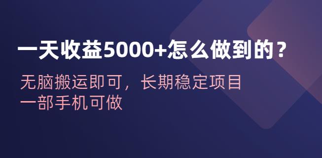 一天收益5000+怎么做到的？无脑搬运即可，长期稳定项目，一部手机可做【揭秘】-副业宝典