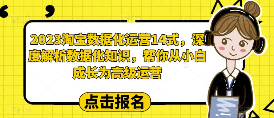 2023淘宝数据化运营14式，深度解析数据化知识，帮你从小白成长为高级运营-副业宝典