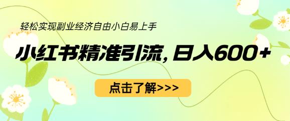 小红书精准引流，小白日入600+，轻松实现副业经济自由（教程+1153G资源）-副业宝典