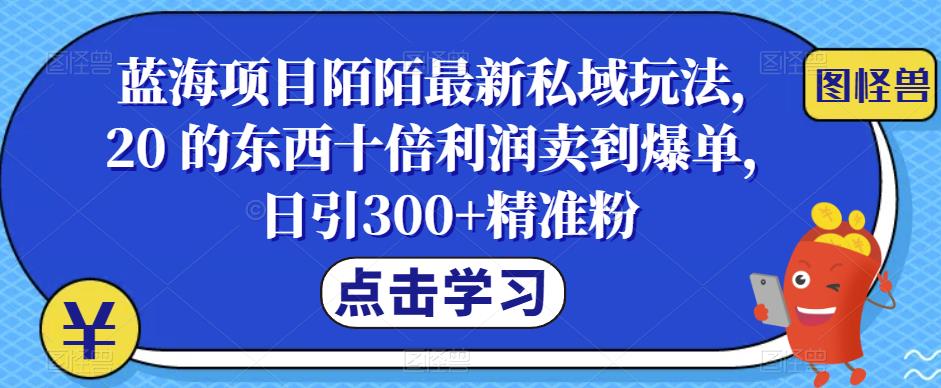 蓝海项目陌陌最新私域玩法，20 的东西十倍利润卖到爆单，日引300+精准粉【揭秘】-副业宝典