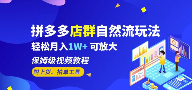 拼多多店群自然流玩法，轻松月入1W+保姆级视频教程（附上货、拍单工具）-副业宝典