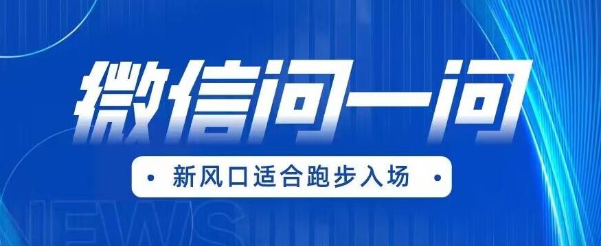 全网首发微信问一问新风口变现项目（价值1999元）【揭秘】-副业宝典