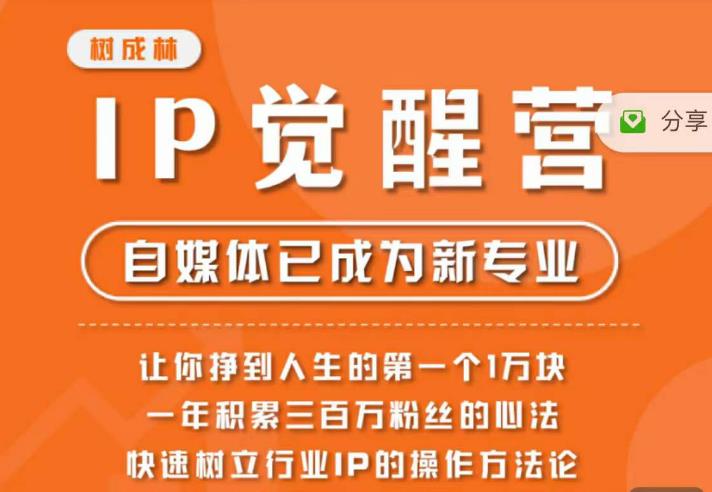 树成林·IP觉醒营，快速树立行业IP的操作方法论，让你赚到人生的第一个1万块（更新）-副业宝典