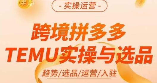 伍跃·跨境拼多多TEMU实操与选品，​趋势/选品/运营/入住（27节完整）-副业宝典