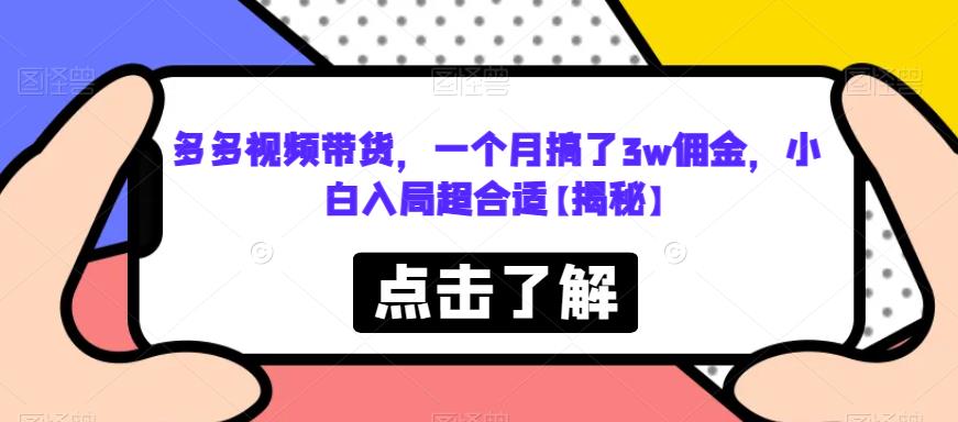 多多视频带货，一个月搞了3w佣金，小白入局超合适【揭秘】-副业宝典