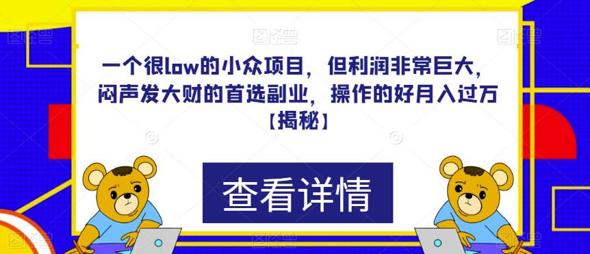 一个很low的小众项目，但利润非常巨大，闷声发大财的首选副业，操作的好月入过万【揭秘】-副业宝典