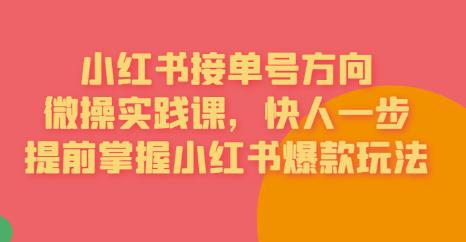 接单号方向·小红书微操实践课，快人一步，提前掌握小红书爆款玩法-副业宝典
