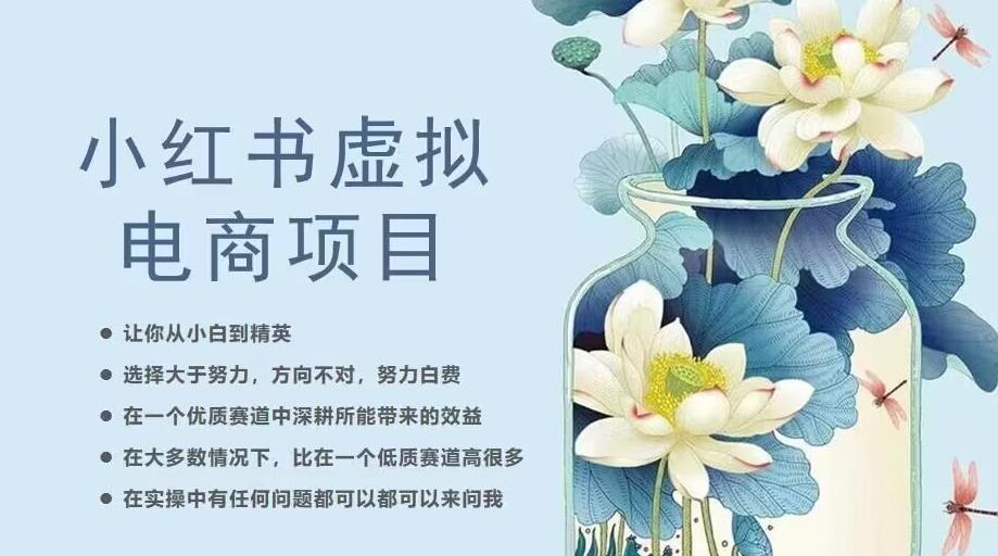 小红书虚拟电商从0到1，让你从小白到精英（20节实操课程）-副业宝典