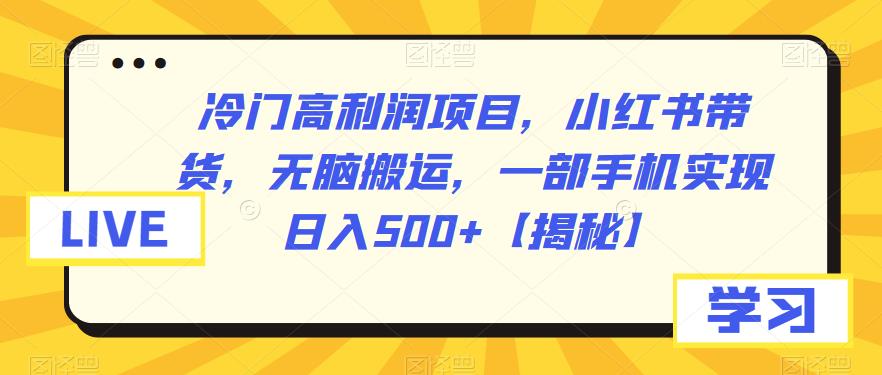 冷门高利润项目，小红书带货，无脑搬运，一部手机实现日入500+【揭秘】-副业宝典