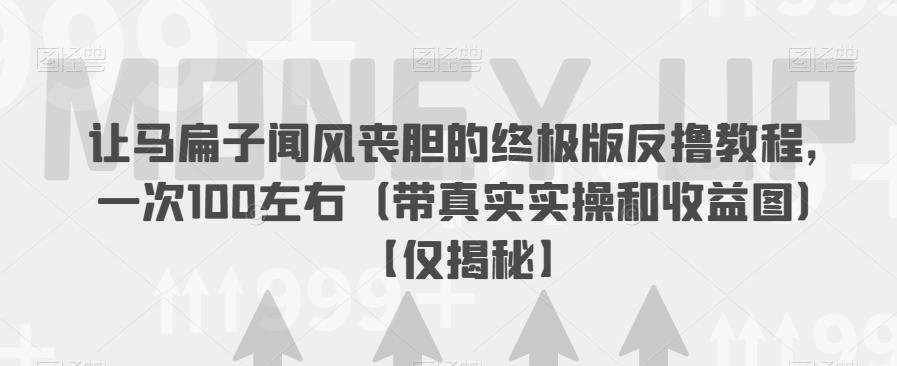 让马扁子闻风丧胆的终极版反撸教程，一次100左右（带真实实操和收益图）【仅揭秘】-副业宝典