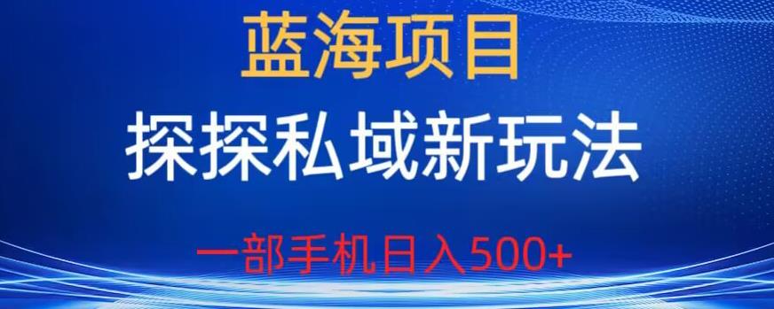 蓝海项目，探探私域新玩法，一部手机日入500+很轻松【揭秘】-副业宝典