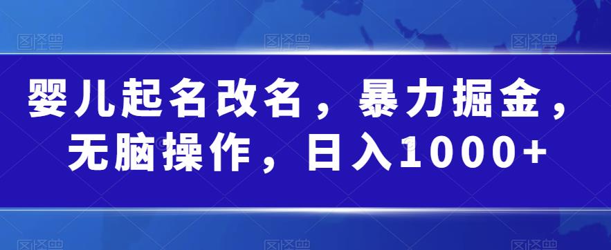 婴儿起名改名，暴力掘金，无脑操作，日入1000+【揭秘】-副业宝典