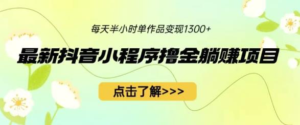 最新抖音小程序撸金躺赚项目，一部手机每天半小时，单个作品变现1300+【揭秘】-副业宝典