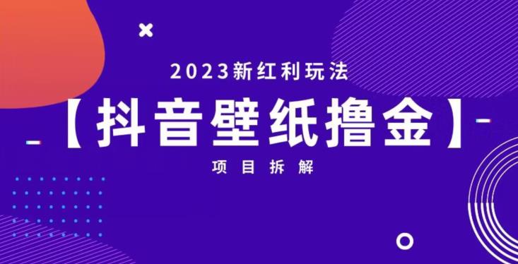 抖音壁纸小程序创作者撸金项目，2023新红利玩法【项目拆解】-副业宝典