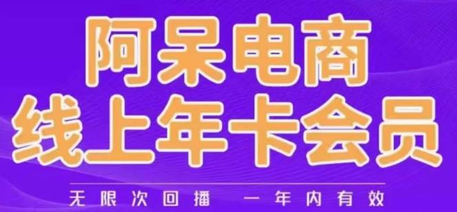 阿呆电商线上年会员，阿呆电商干货分享（更新中）-副业宝典