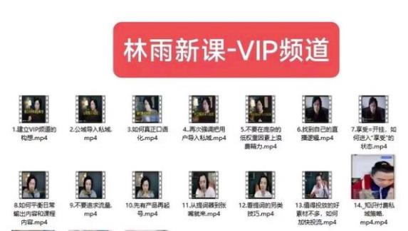 林雨新课VIP频道，玩赚私域/朋友圈/社群-副业宝典